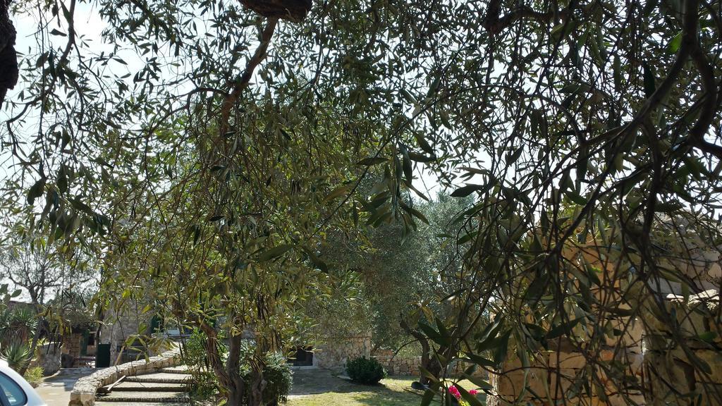 Villa Minteco Пату Экстерьер фото