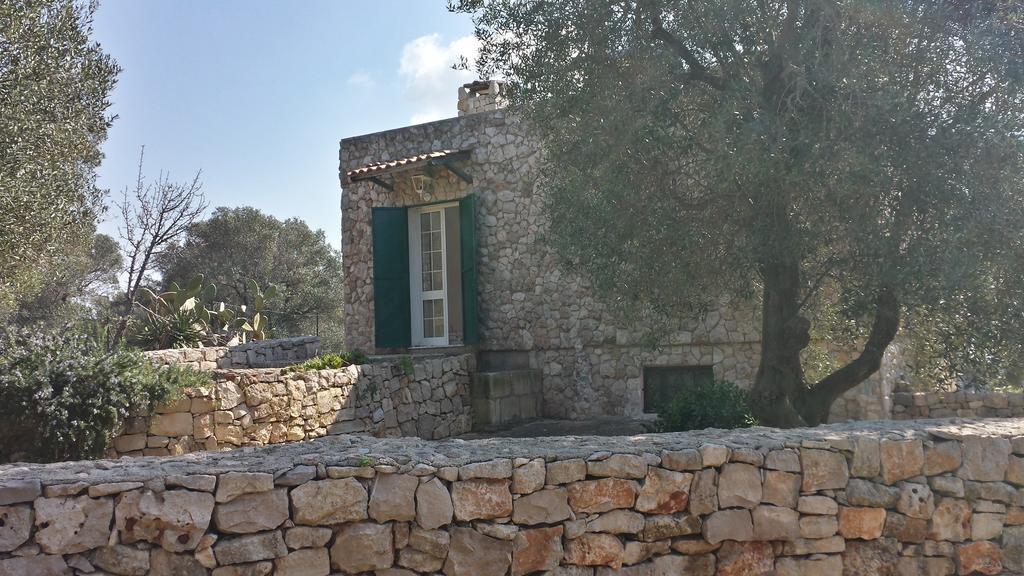 Villa Minteco Пату Экстерьер фото